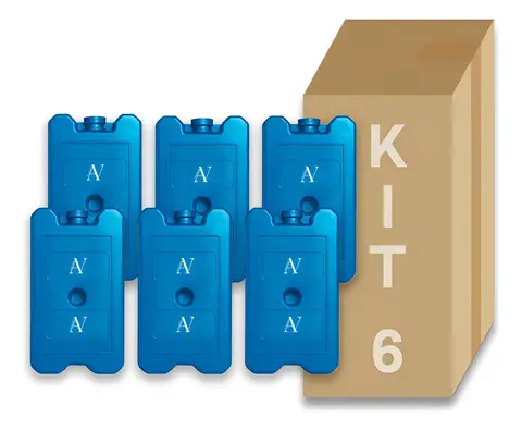 Kit 06 Gelo Gel 200ml Artificial Reutilizável Caixa Cooler Azul